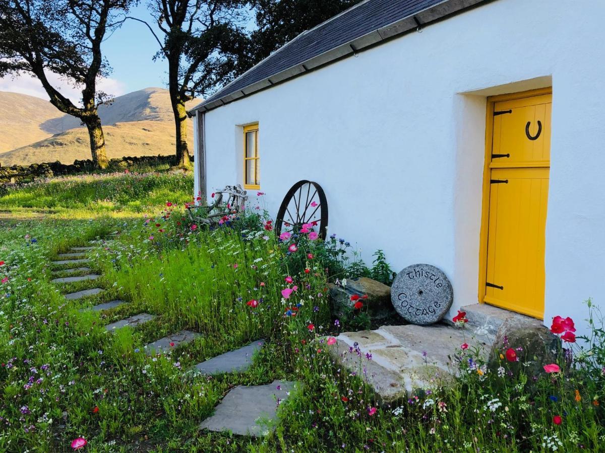 Thistle Thatch Cottage And Hot Tub - Mourne Mountains Нюкасъл Екстериор снимка