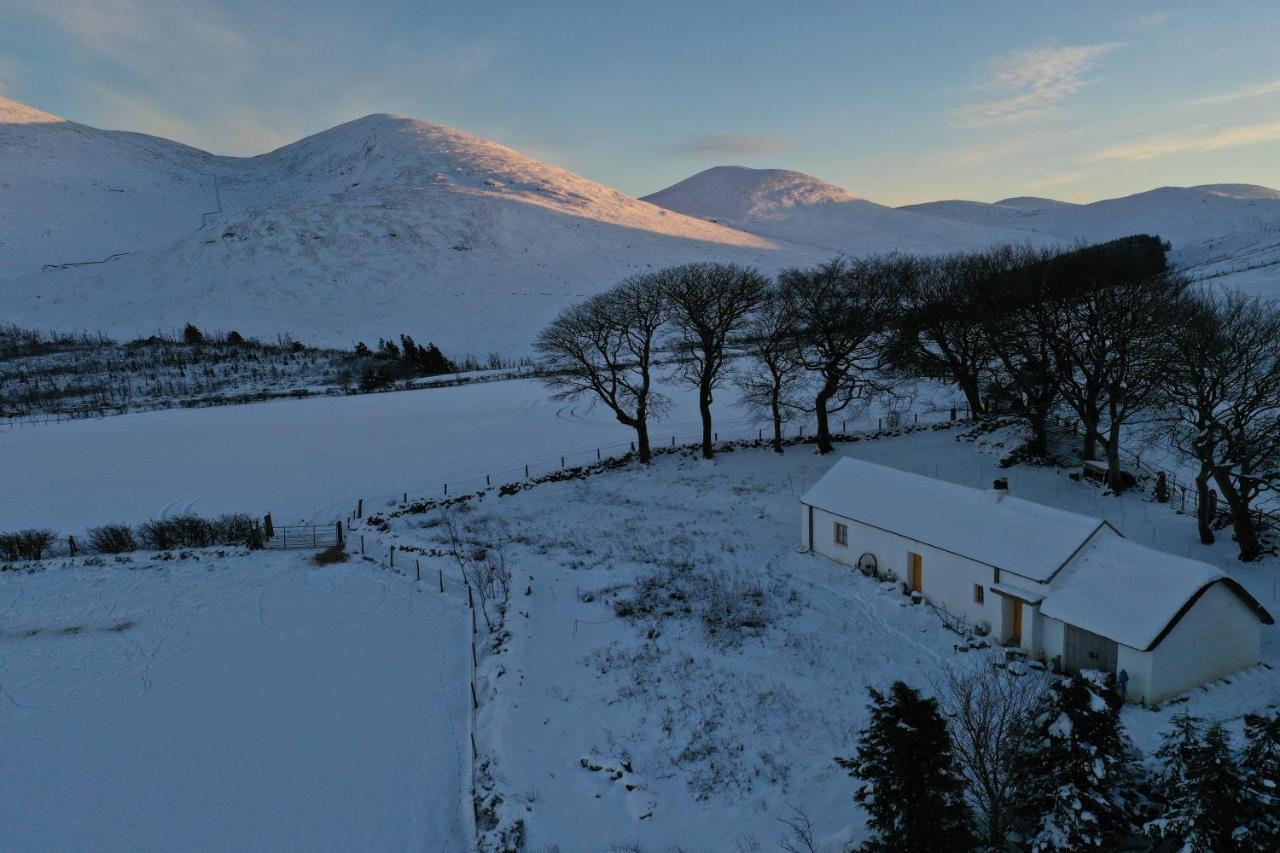 Thistle Thatch Cottage And Hot Tub - Mourne Mountains Нюкасъл Екстериор снимка
