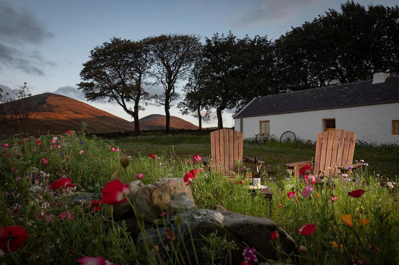 Thistle Thatch Cottage And Hot Tub - Mourne Mountains Нюкасъл Екстериор снимка
